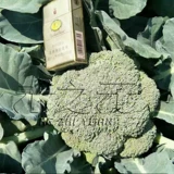 Семена овощей Shouguang, Shengzheng Daramida, Mantuo Green Salio 55 Весна и осень весной и осенью, ранние семена семян четыре сезона