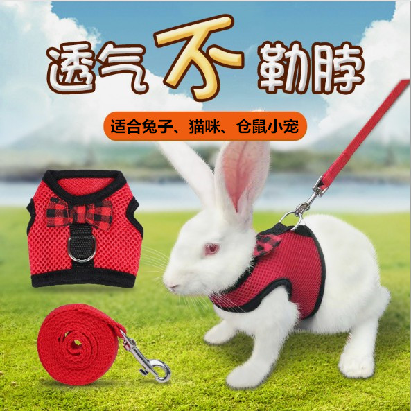 Cat traction rope bunny anti break free breathable chest hold baby bag chinchilla hamster cute fat rabbit rope small pet supplies