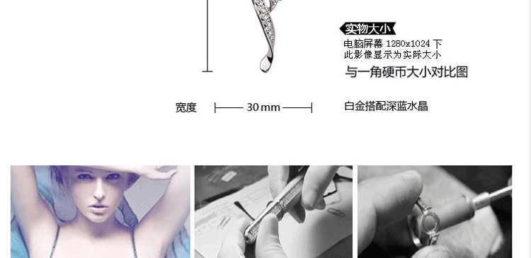 Broche femme en cristal autrichien - Ref 1178504 Image 23