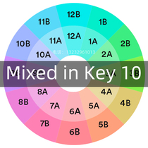 MIXED IN KEY8 10 调性排歌软件测速测音调写标签和声混音DJ打碟