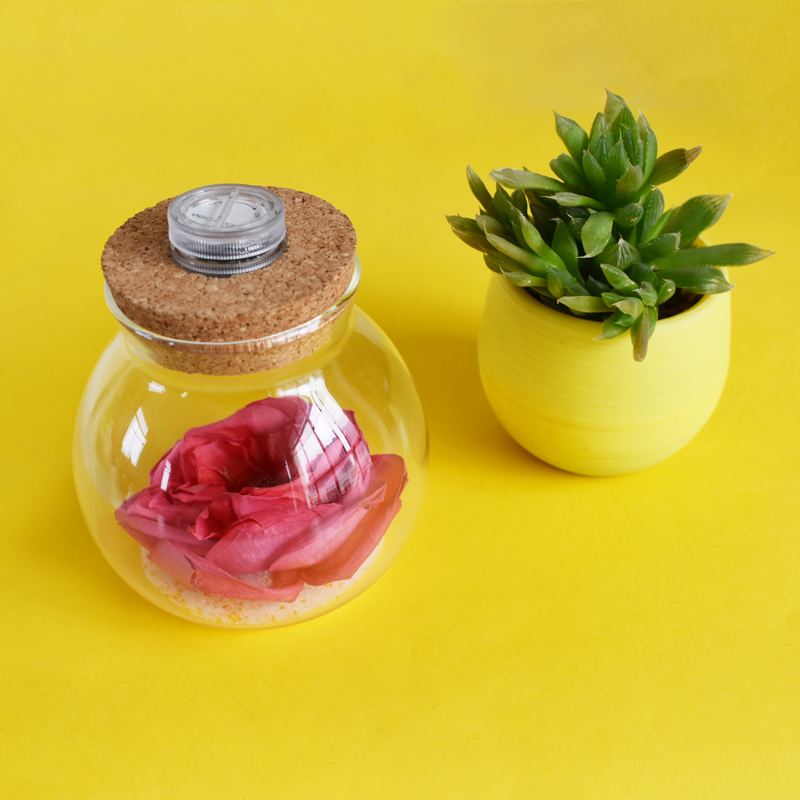 diy plant glass ecological bottle swing piece creative crystal clear vase round ball drying flower making tool