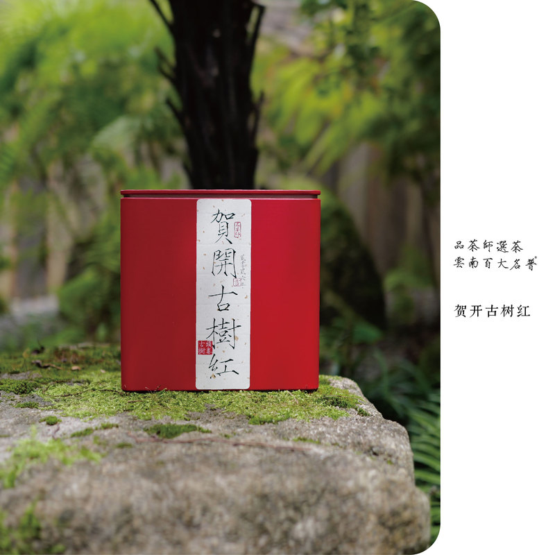 Ancient Tree Black Tea |   Must-Have Black Tea · 2026 He Kai Hand-Picked Large Ancient Tree Black Tea 500g Can