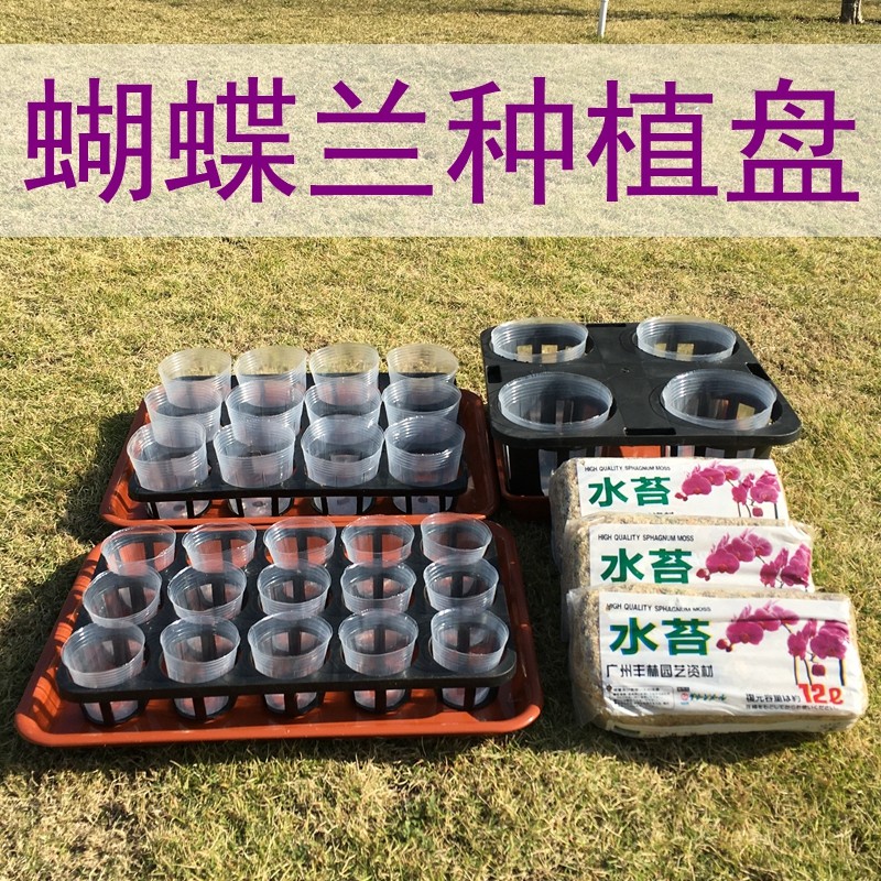 Thickened Phalaenopsis tray Nutritional Cup Weekly rotating seedling plug tray Flower succulent plant tray Nutritional soil Moss