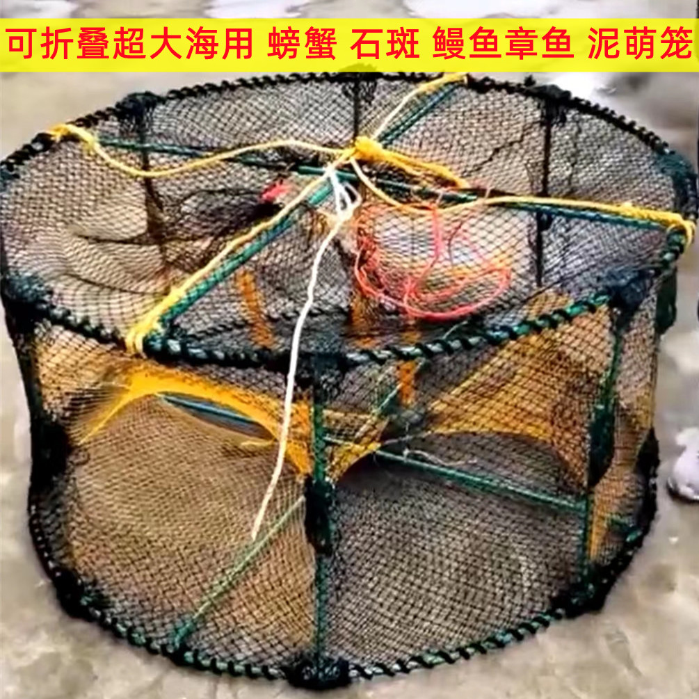 Hong Kong mud Menglong stone Jiugong grouper cured fish Tsing Yi golden octopus fish conger eel crab black snapper yellow wing cage