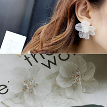 Korean fashion exaggerated personality flower stamens temperament earrings womens accessories vacation white shell earrings ear jewelry