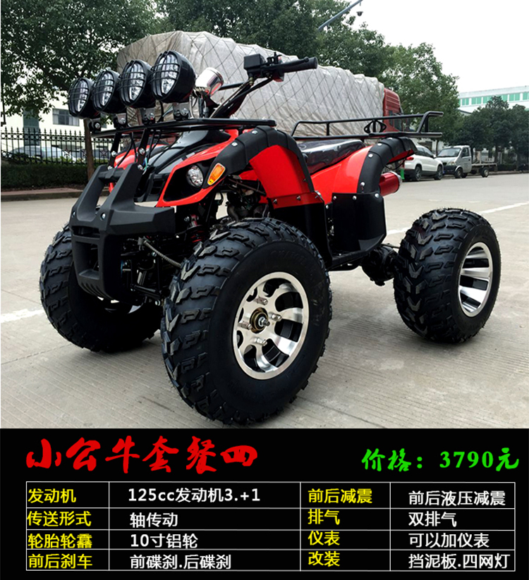 ATV kích thước bulls tốc độ vô cấp ATV bốn bánh off-road xe máy đôi dành cho người lớn xăng off-road