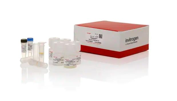 Invitrogen NanoOrange 蛋白定量试剂盒  N6666