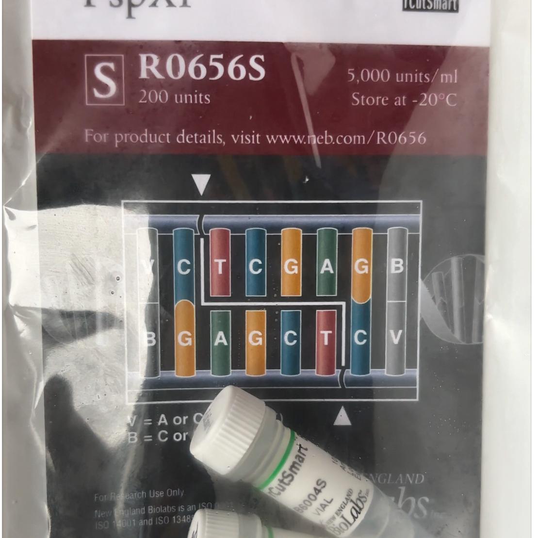 NEB PspXI内切酶 R0656S