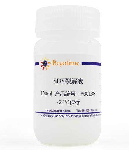 碧云天 SDS裂解液