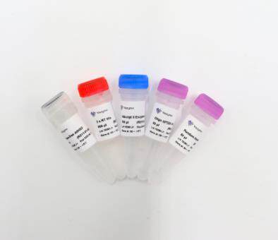诺唯赞Vazyme 通用型cDNA一链合成逆转录试剂盒 R211-01