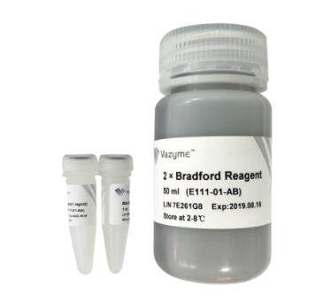 诺唯赞Vazyme Bradford（考马斯亮蓝）蛋白定量试剂盒  E111-01