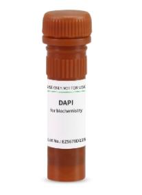 BioFroxx 试剂 DAPI 10mg