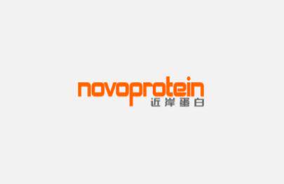 Novoprotein 近岸蛋白 2&times;Taq Master Mix (Quick Load) E005-02A