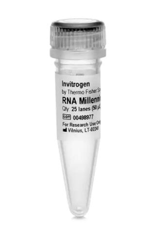 Invitrogen Millennium RNA 标记物 AM7150