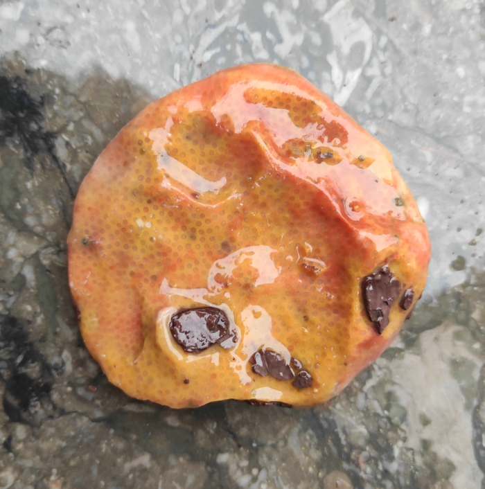 Ningqiang Kistler Coral Jade Red and Yellow Natural Hand Play Small Pieces of Strawberry Pattern Paleontological Fossil Raw Stone