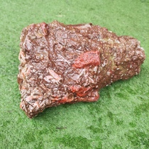 Ningqiang coral jade insect stone sea lily fossil blooming red insect raw stone strange stone small ornaments paleontological specimen collection