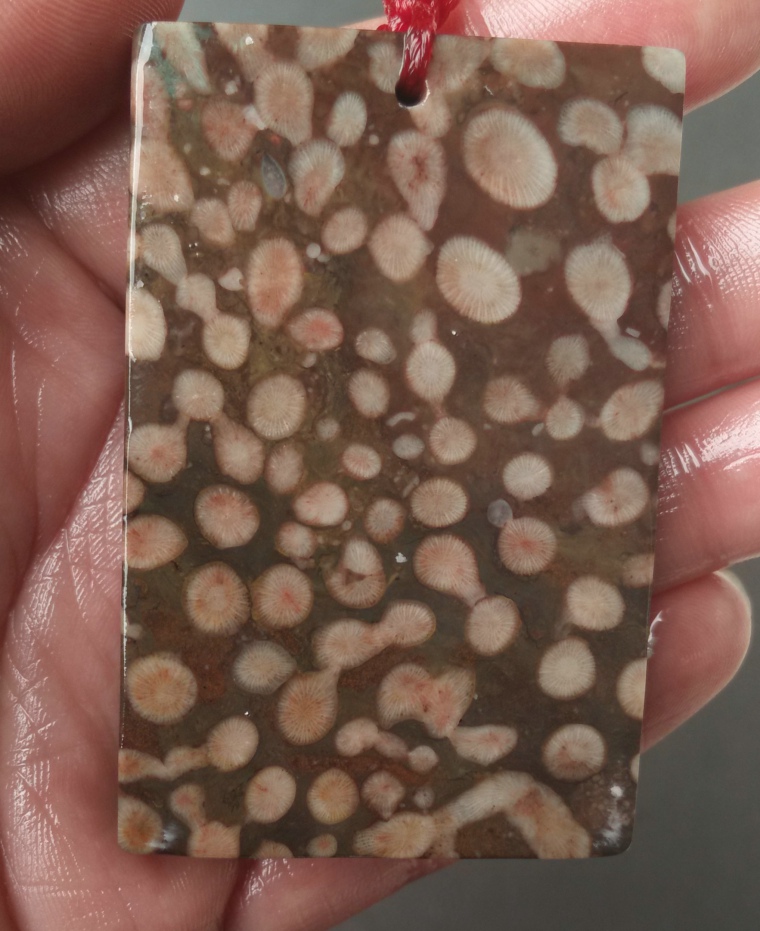 Ning Qiang Coral Jade Safe with no sign hanging board Four-shot grain Spotted Coral can carve car pendant fossil W