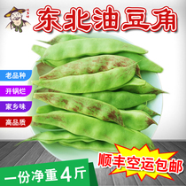 (SF air transport)Northeast specialty oil beans authentic red oil beans open pot rotten pick a 4 pounds