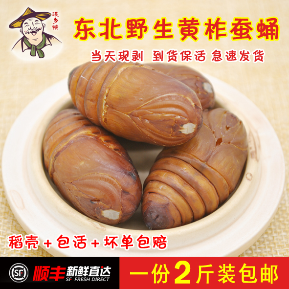 Shun Feng Air Transport Northeast Specialty Cocoon Pupa Fresh Tussah Pupa Fresh Cocoon Pupa High Protein 2kg Pack