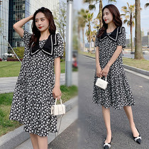 Summer maternity dress doll collar chiffon dress mid-length late pregnancy fat MM loose slim floral skirt suit