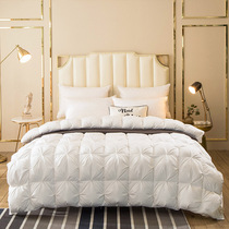 Duvet 95 white goose down winter quilt five-star hotel duck down quilt quilt quilt core single double thick warm winter