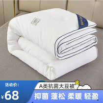 Antibacterial soybean fiber is winter quilt quilt core double winter quilt quilt thickened warm double Winter Woman