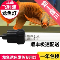 Филипс рыбная лампа 840 Arowana Lamp 965 Специальная всасывающая чашка T8 Lamp Tube Lamp