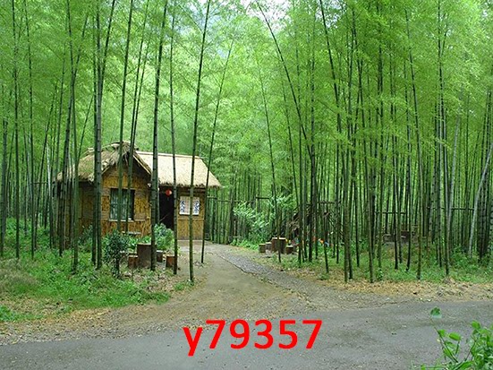 Main broadcasting live background cloth landscape garden landscape garden wind decoration solid outside view 3d fast hand direct sowing room Mongolian bungnet red scenery