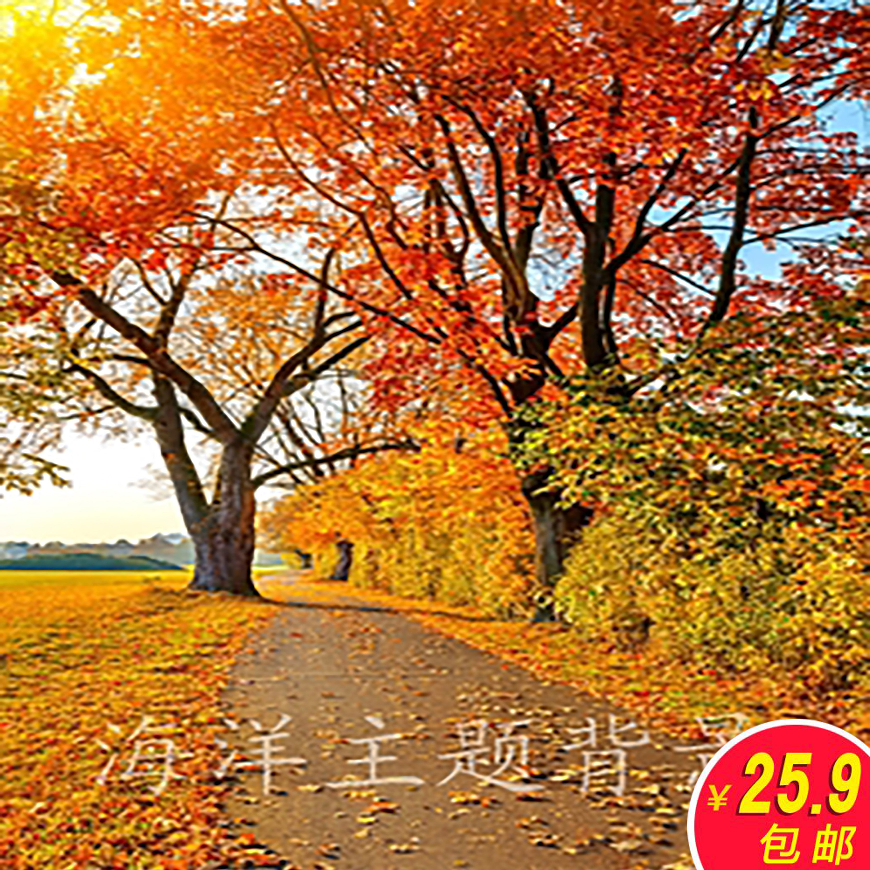 Main sowing background cloth 3d straight sowing room wallpaper photo background scenery outside view Tuy fast hand decoration anchor background cloth