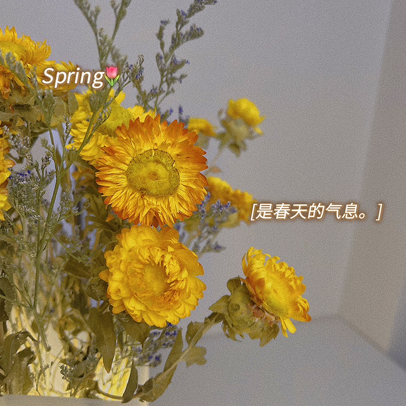 Yellow daisy dried flower bouquet real flower living room decoration ins lover grass living room decoration decoration vase