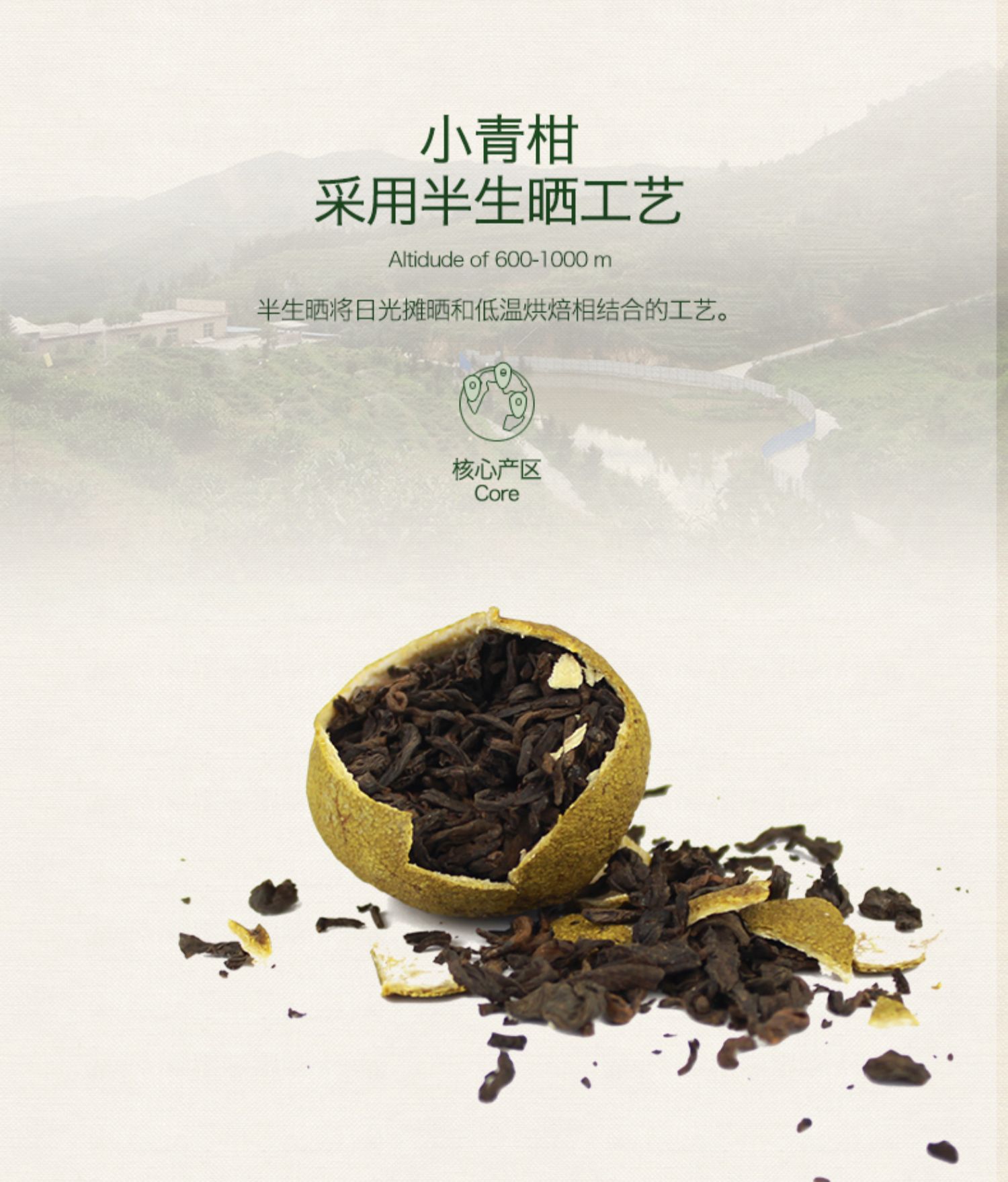 【绿芳】小青柑普洱茶茶叶12颗/盒