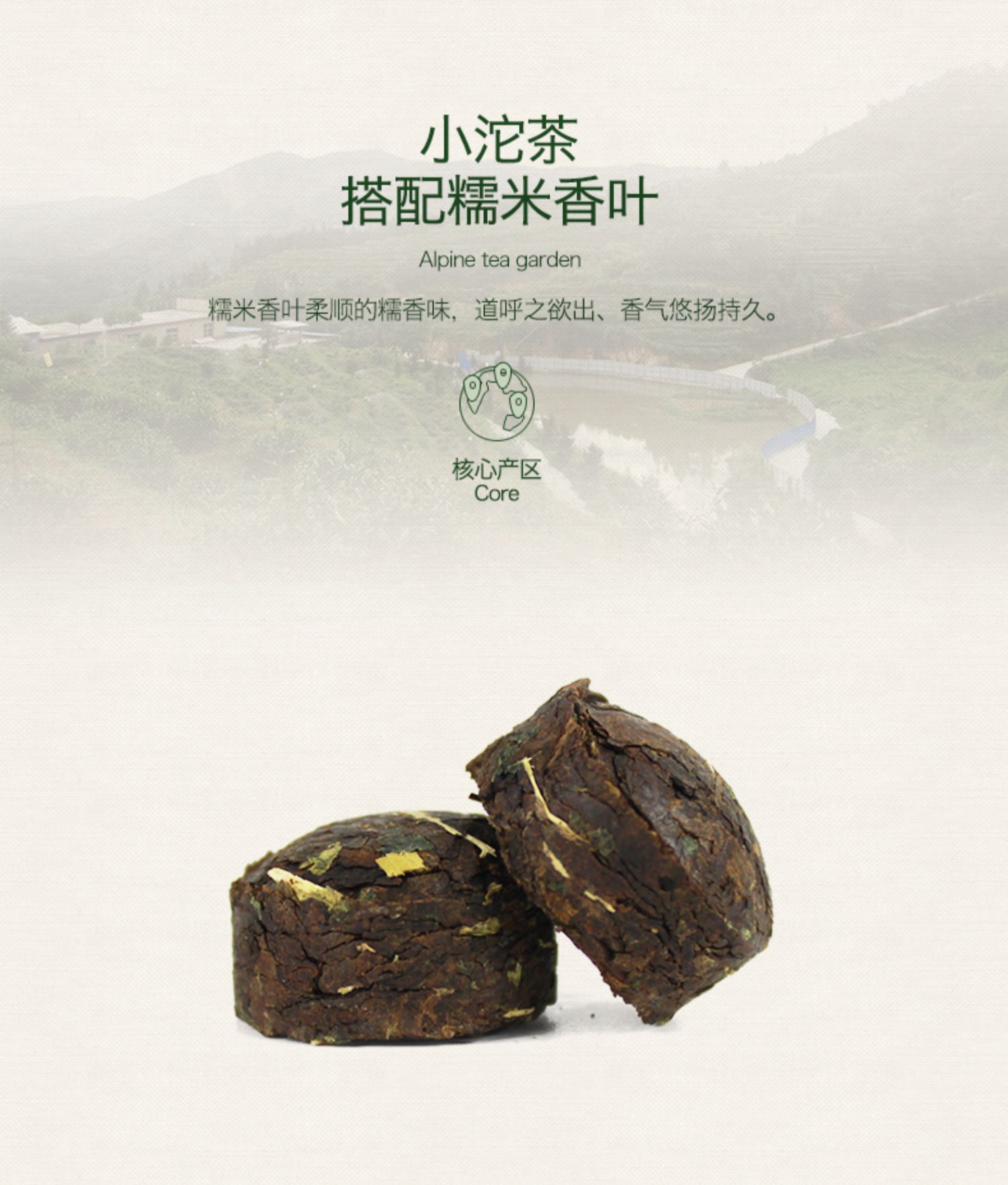 【绿芳】特级普洱茶礼盒装240g*2盒