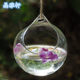 European hanging glass vase wall hanging succulent plant hanging ball hydroponic hanging bottle wedding etiquette props