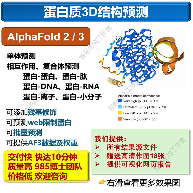 Protein 3D Structure Prediction/Alphafold2&3 Service/Interaction Prediction Protein 3D Structure Prediction/Alphafold2&3 Service/Interaction Prediction