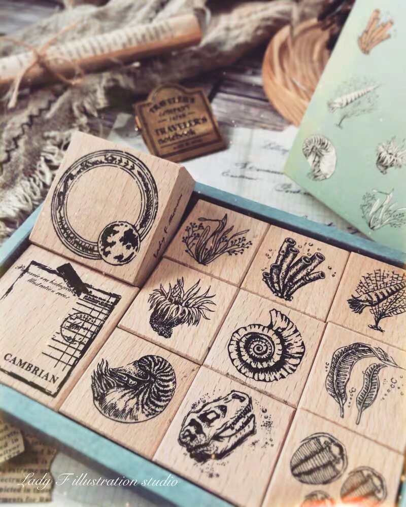 Spot lady f new biological diagram seal group of retro marine archaeological fossils