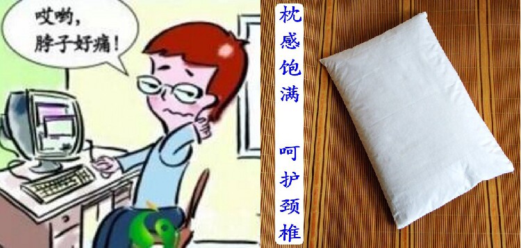 Подушка 茶香枕头草本养生枕成人护颈椎茶叶艾叶枕芯失眠助睡眠花草保健枕