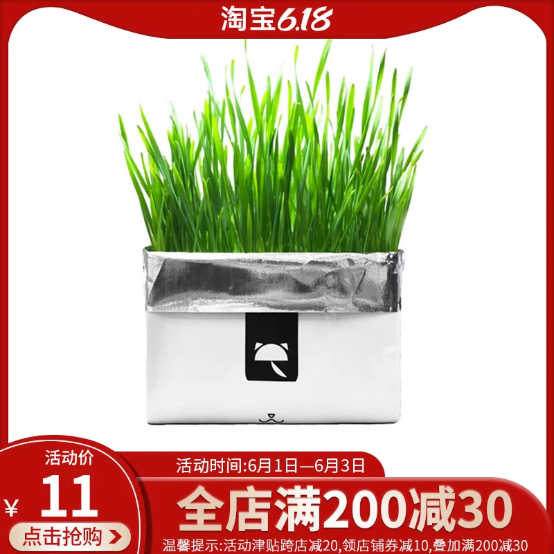 Pet mèo hạt giống cỏ mèo tẩy lông mèo mèo ăn nhẹ bột tự nhiên catnip hạt giống hữu cơ - Đồ ăn nhẹ cho mèo