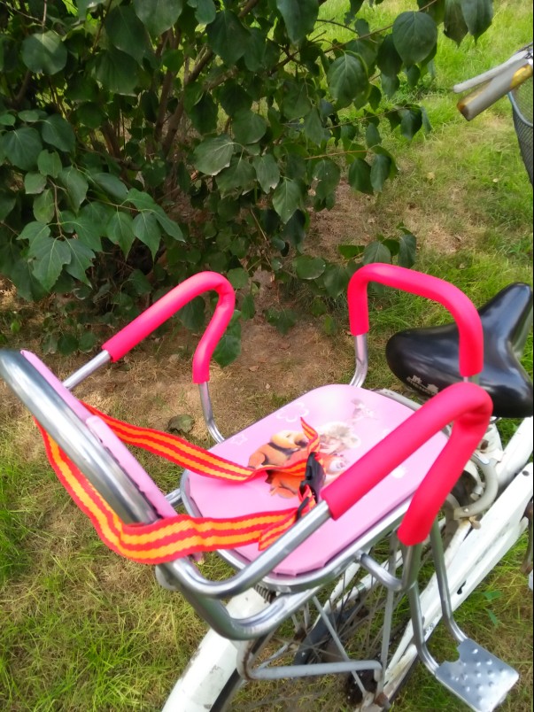 siège enfants pour vélo - Ref 2414661 Image 15