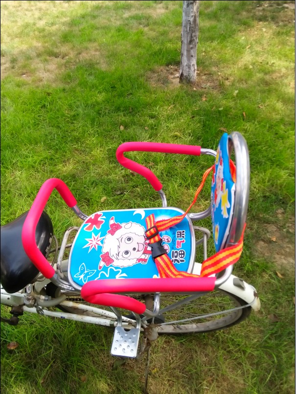 siège enfants pour vélo - Ref 2414661 Image 7