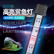Fish tank lamp led light waterproof fish tank Decorative Diving Light Water Lamp 7-color lighting jacklight Dragon fish lamp