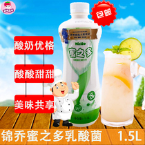 Jinqiao honey lactic acid bacteria 1 5L concentrated fermented yogurt concentrated milk-containing beverage brewing milk tea shop raw materials
