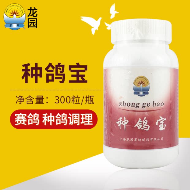 Dragon Garden Dove Medicine (species of dove) pigeon pairing Longyuan breeding Seixin improves germplasm 300 grain-Taobao