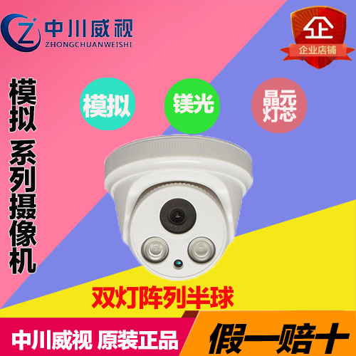 L-202 Dual Lamp Indoor Large Hemisphere Hemisphere Camera Laser Camera 800 Line High Picture Quality Camera Simulation