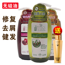 Tianzi tea Bran oil control anti-dandruff shampoo Mountain ginger hot dye repair anti-fall supple mens silicone-free shampoo