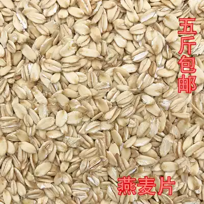 Oatmeal Small and Medium Parrot Feed Tiger Skin Little Sun Golden Sun and Chansenet Parrot Feed 500g