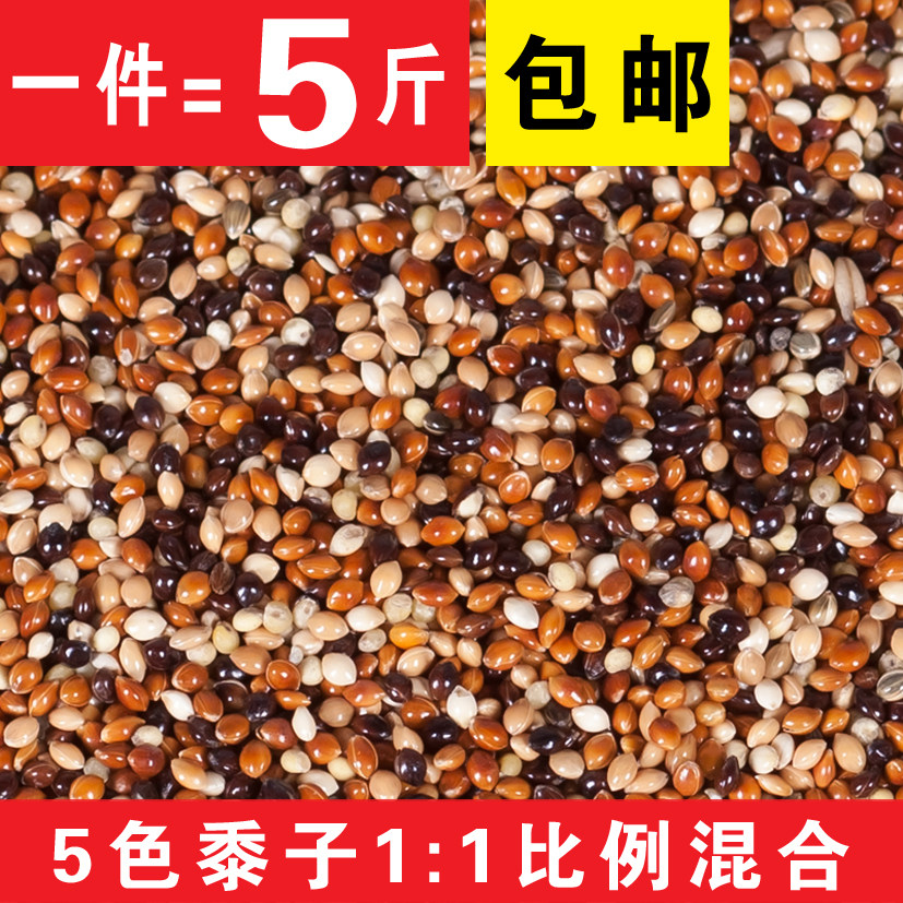 Parrot mixed food Pigeon food 5-color mixed millet millet Small parrot bird food feed Tiger skin Xuanfeng Peony