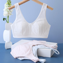 Girls underwear development period vest thin cotton cup students tube top junior high school children girls bra summer