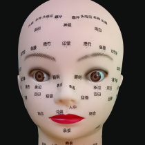 Simulation of human half body beauty dummy head model simulation of face massage facial washing mold head
