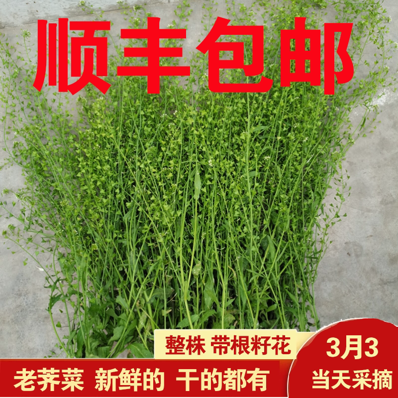 Fresh Dried Watercress, Whole Plant, Old Watercress with Flowers, Roots, Stems, Seeds, March 3Rd Boiled Eggs, Medicinal Use during Confinement, for Pregnant Women