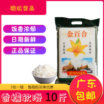 New flower Golden Lily fragrant rice classic jasmine rice 5KG10kg new vacuum Rice